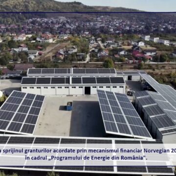 Pionierat în Reciclarea Plasticului și Inovare prin Soluții Sustenabile