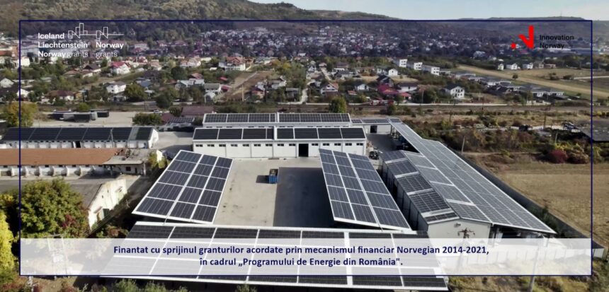 Pionierat în Reciclarea Plasticului și Inovare prin Soluții Sustenabile