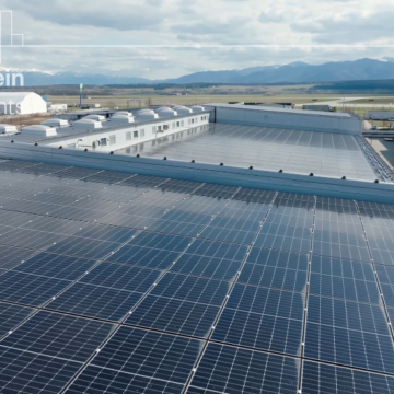 Vitema Pharmaceuticals: Pionieratul tehnologic pentru o sănătate durabilă