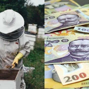 Fraudă cu subvenţii europene în apicultură! Nouă percheziţii în Mureş!